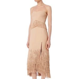 NWT Jonathan Simkhai FW 2016 Nude Fringe Strapless Dress